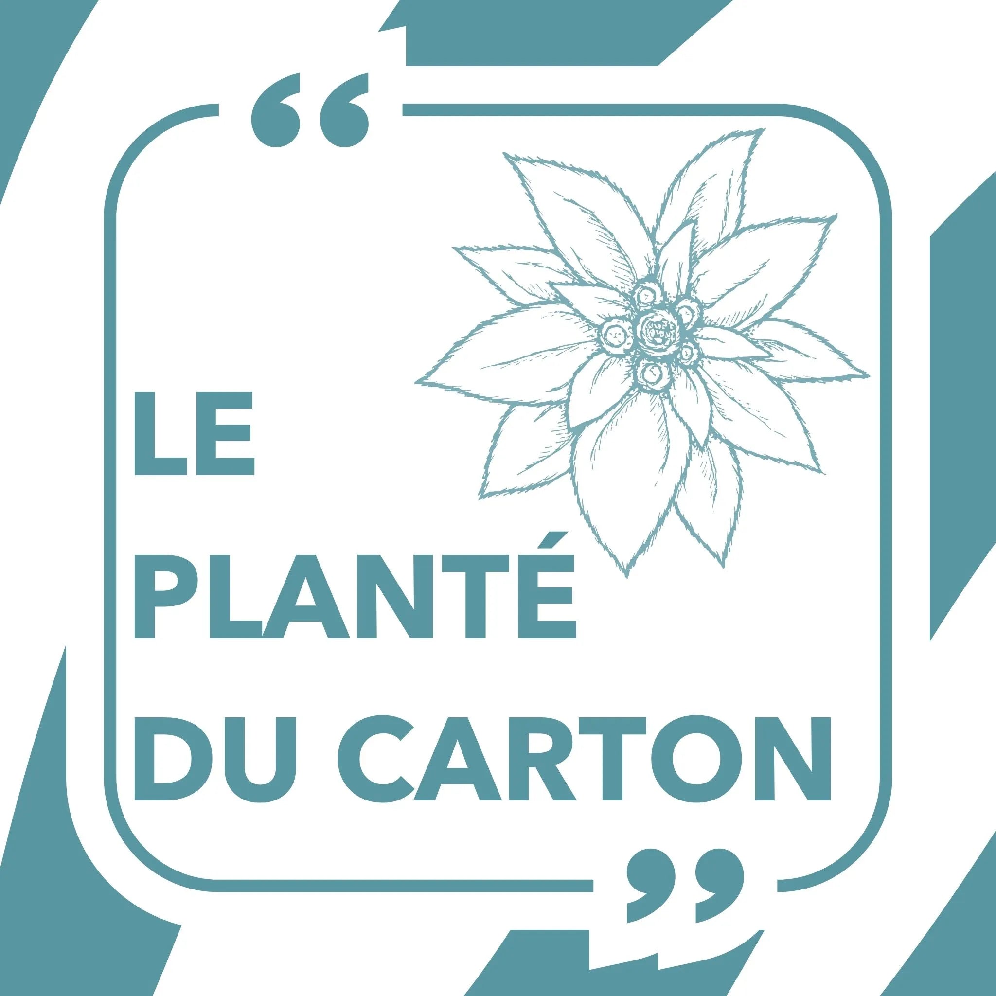 Carte à planter avec graines de fleurs sauvages, illustration minimaliste et message poétique, papeterie écologique fabriquée en France inspirée de l’univers puzzle zebresque pour adulte et du film les bronzés font du ski et de la réplique de jean claude duss avec le planté du baton.