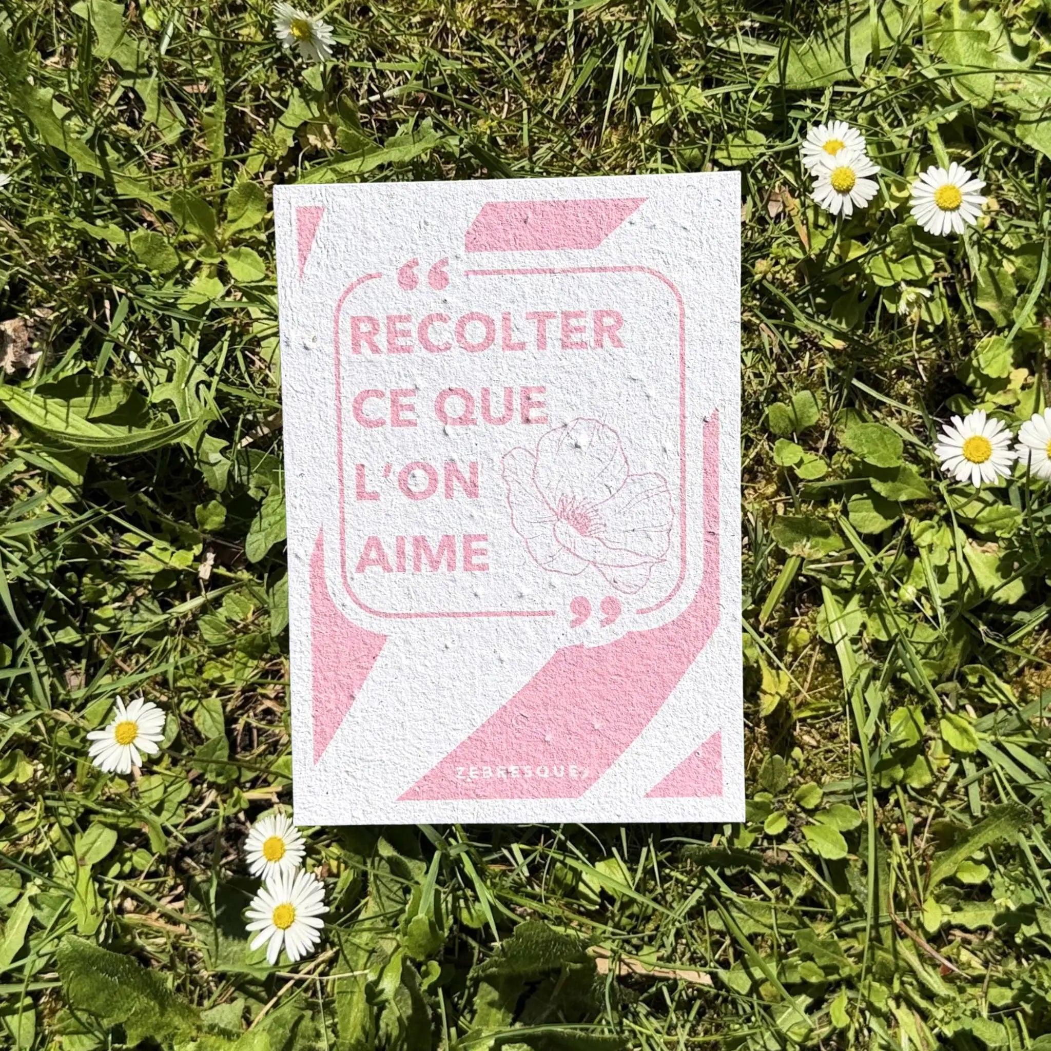 Carte à planter ZEBRESQUE “Récolter ce que l’on aime” en papier recyclé avec graines de fleurs sauvages, photographiée dans l’herbe au soleil avec des pâquerettes.
