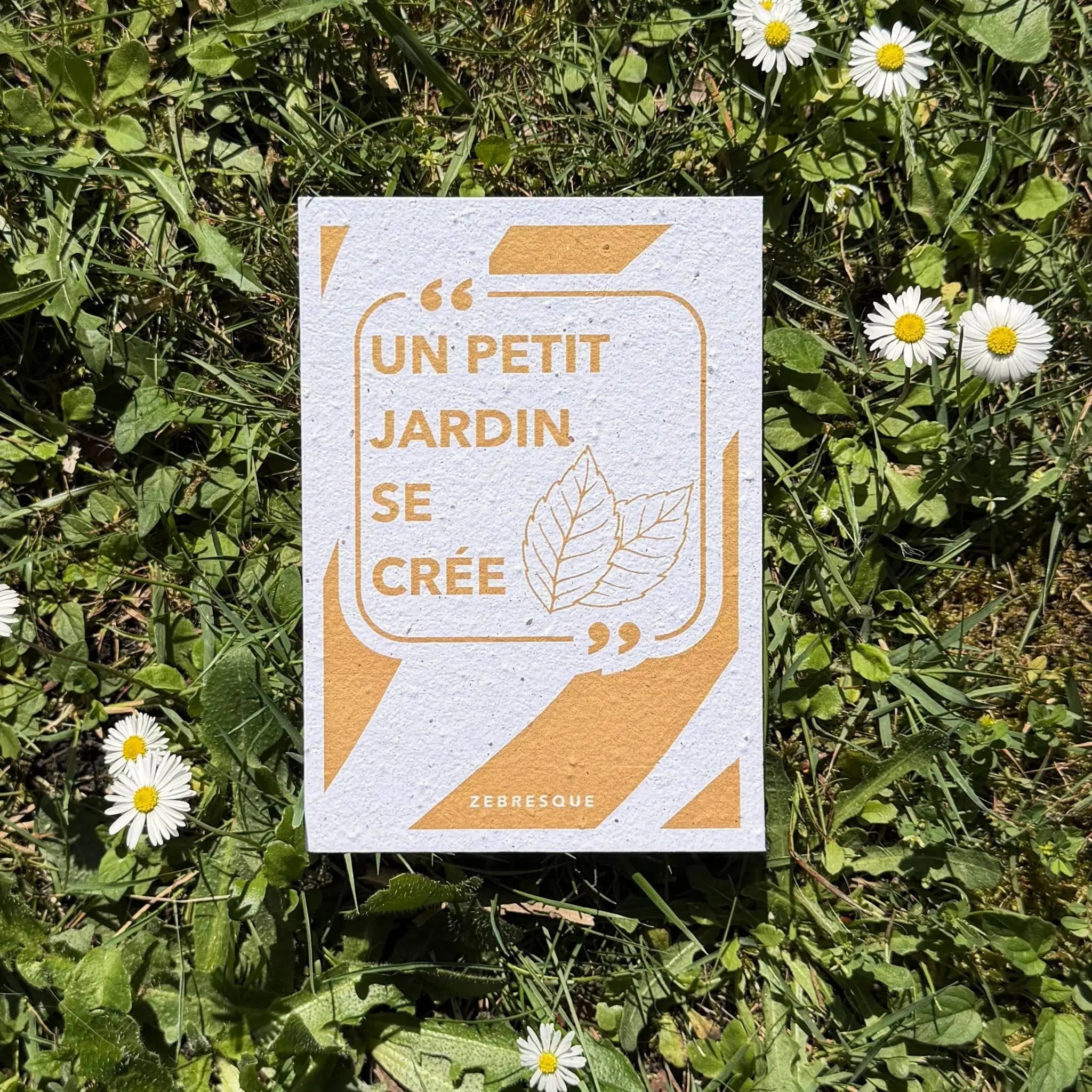 Carte à planter ZEBRESQUE “Un petit jardin se crée” en papier recyclé avec graines de fleurs sauvages, photographiée dans l’herbe au soleil avec des pâquerettes.