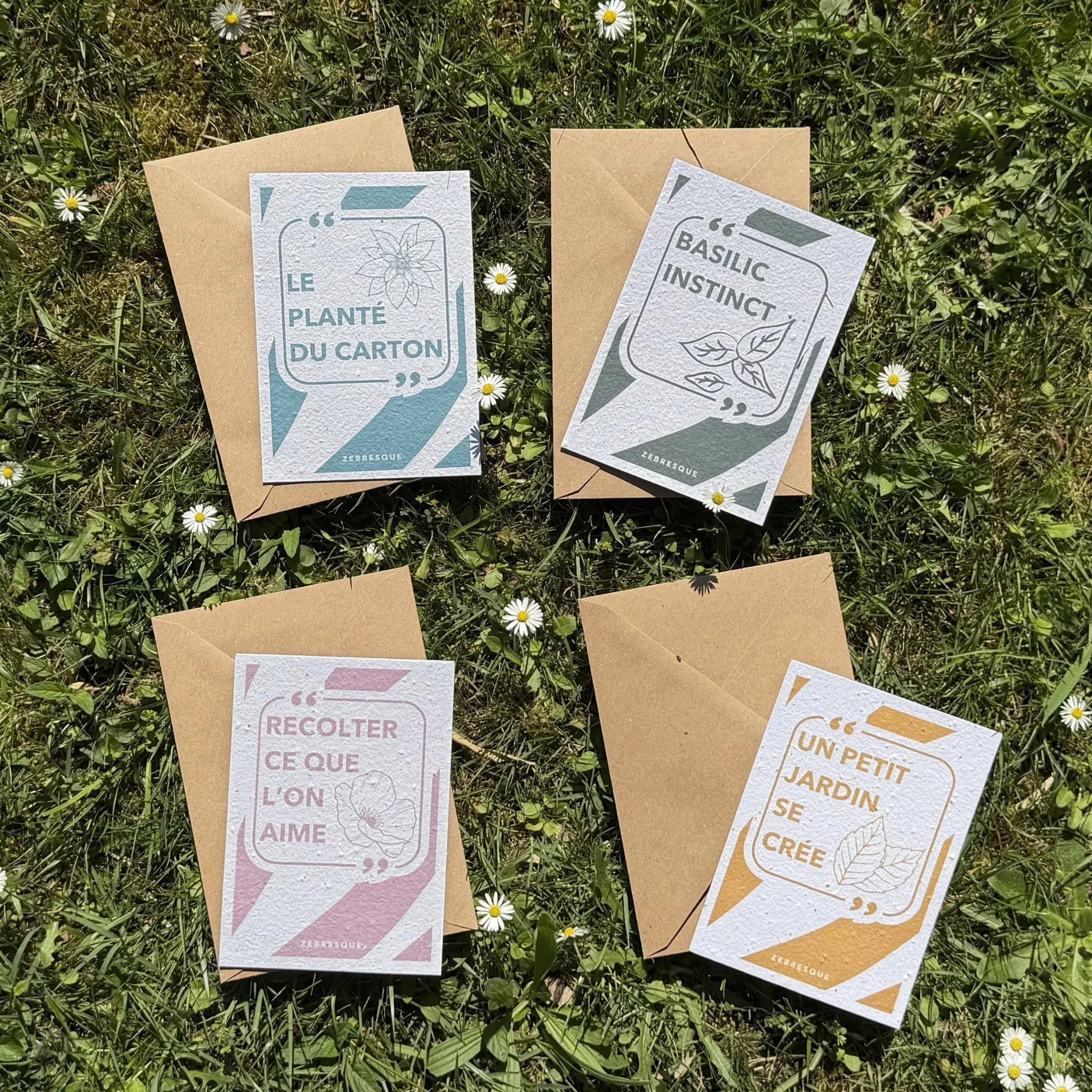 Collection de cartes à planter ZEBRESQUE en papier recyclé avec graines de fleurs sauvages et basilic, posées sur l’herbe avec enveloppes kraft dans une ambiance naturelle et écoresponsable.