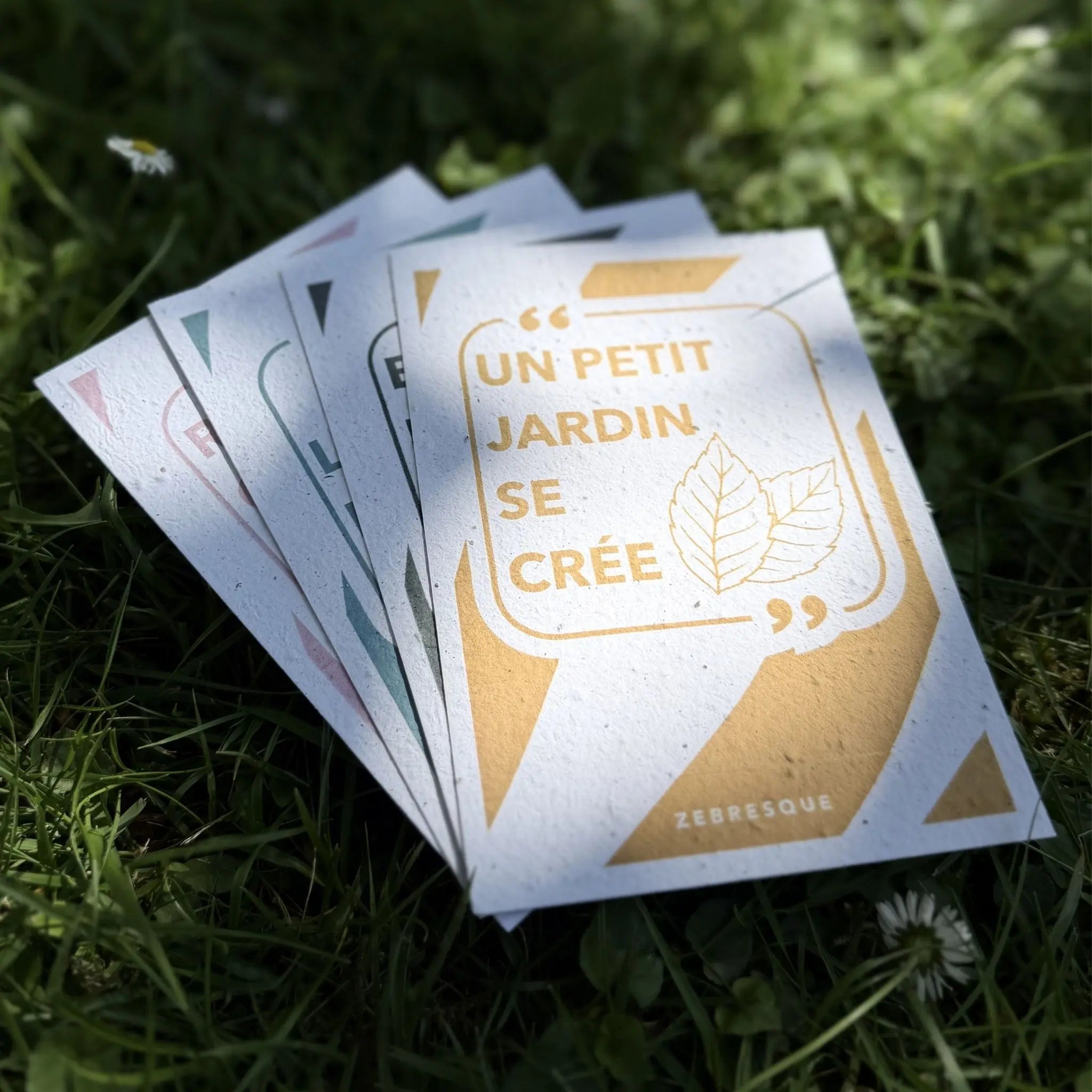 Cartes à planter ZEBRESQUE en papier recyclé avec graines de fleurs sauvages, posées dans l’herbe dans une ambiance naturelle et poétique de papeterie écoresponsable