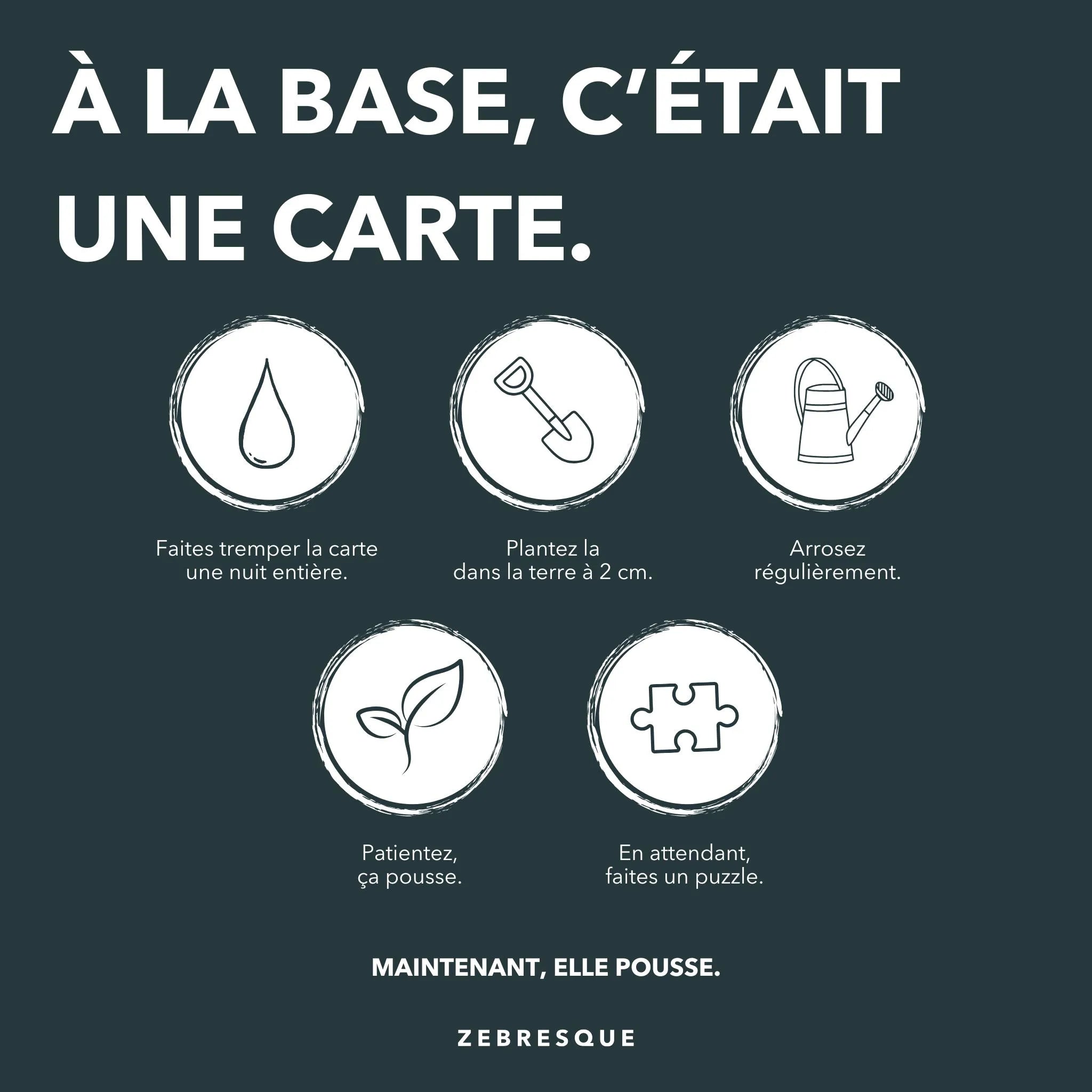Notice et mode d'emploi de comment planter une carte postale ensemencee zebresque puzzle fabrique en france en papier et graines naturelles