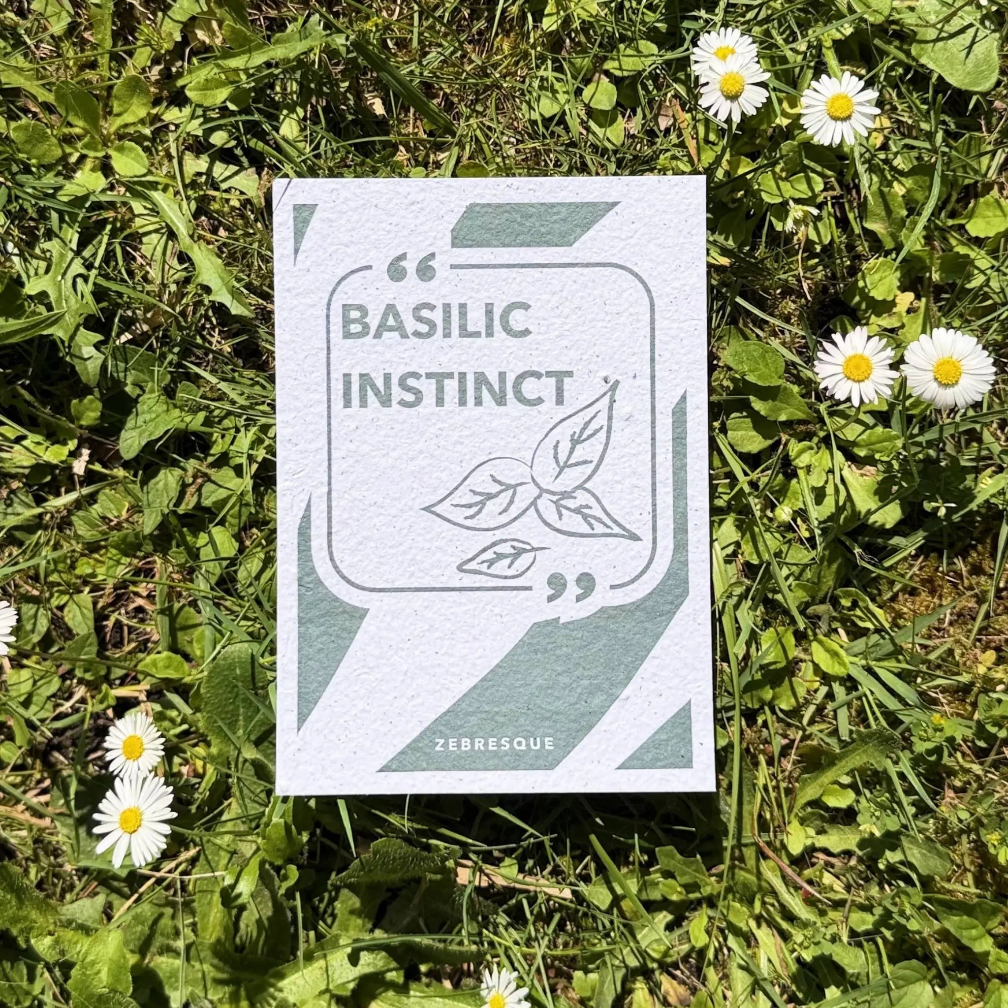 Carte à planter ZEBRESQUE “Basilic Instinct” en papier recyclé avec graines de basilic, photographiée dans l’herbe au soleil avec des fleurs sauvages.
