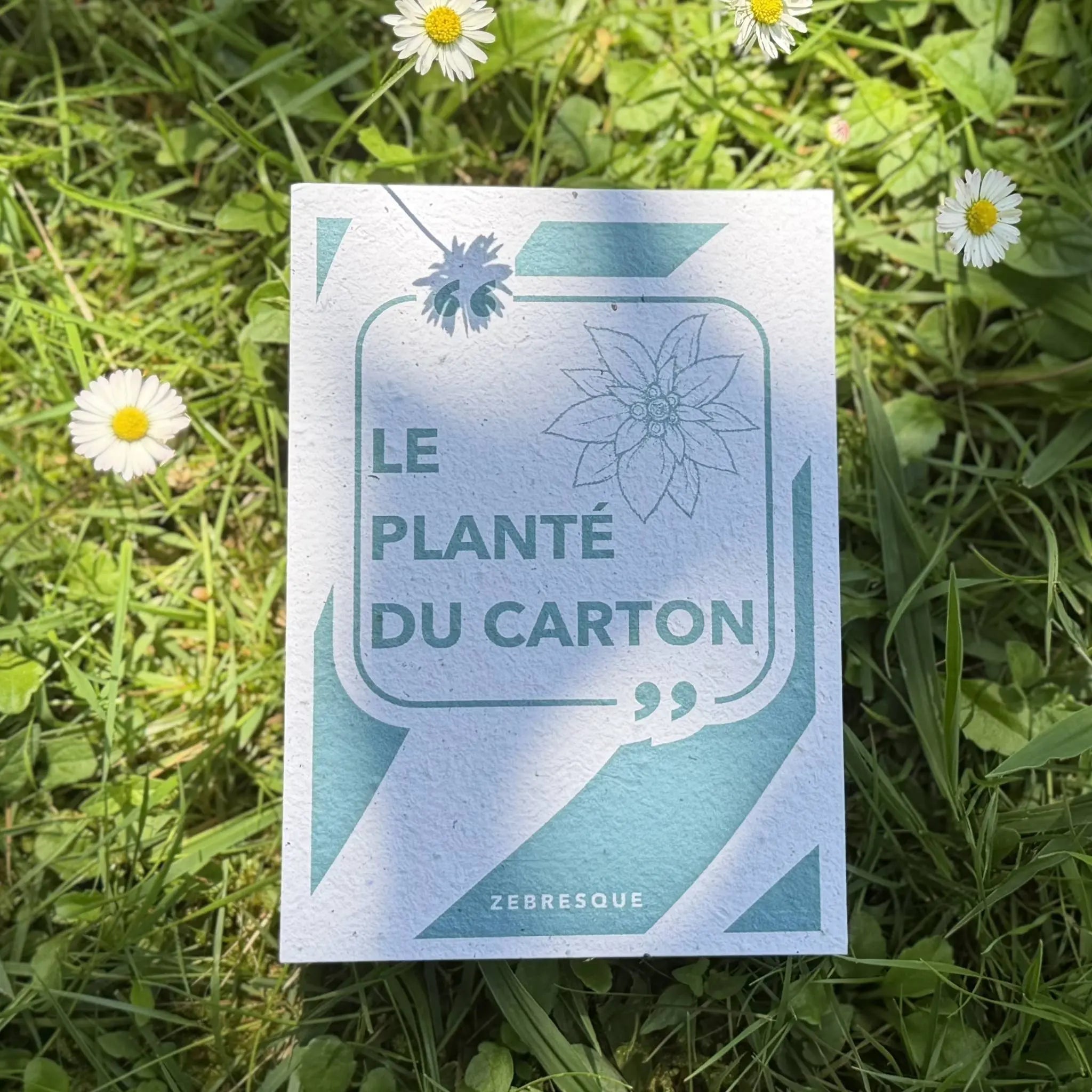 Carte à planter “Le planté du carton” sur fond d’herbe et fleurs sauvages. Papeterie écologique ZEBRESQUE en papier recyclé avec graines de fleurs, entre humour doux, poésie du quotidien et créativité sans écran.