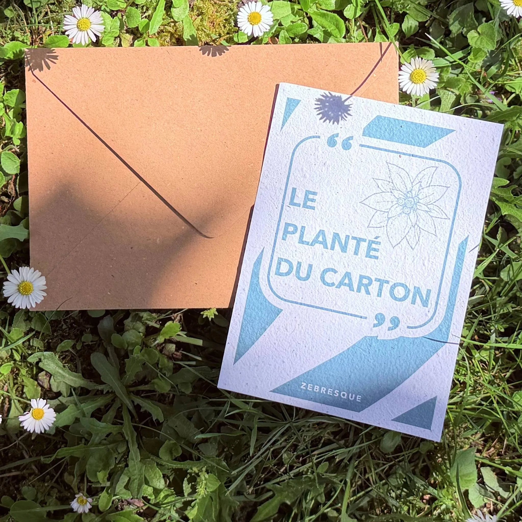 Carte à planter “Le planté du carton” avec enveloppe kraft sur fond d’herbe et pâquerettes. Carte postale en papier recyclé ensemencé ZEBRESQUE, entre humour poétique en référence aux planté de bâton de Jean claude Duss dans les bronzés font du ski, nature et créativité sans écran.