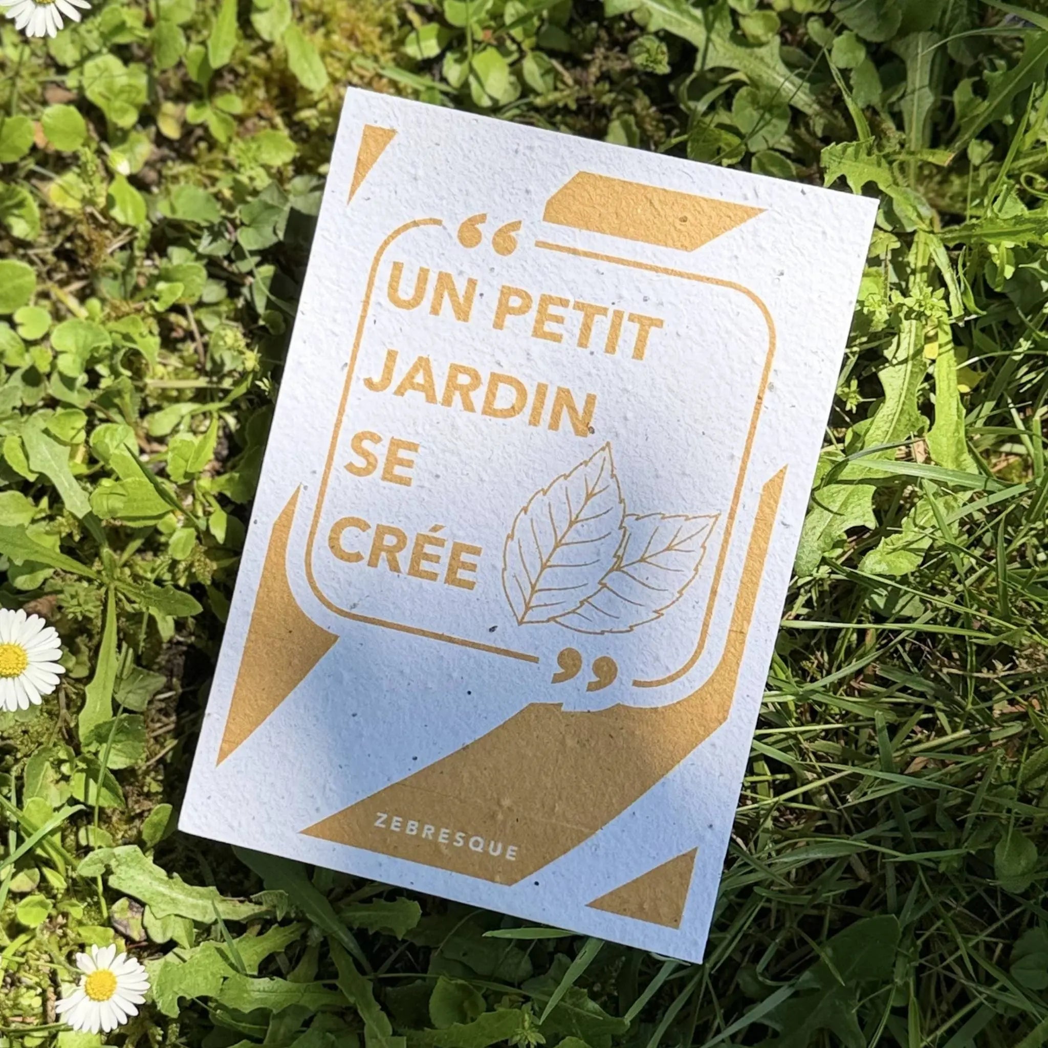 Carte à planter “Un petit jardin se crée” posée dans l’herbe sous une lumière naturelle. Papeterie à planter ZEBRESQUE en papier recyclé ensemencé, pensée pour ceux qui aiment les détails, la nature et les objets sensibles.