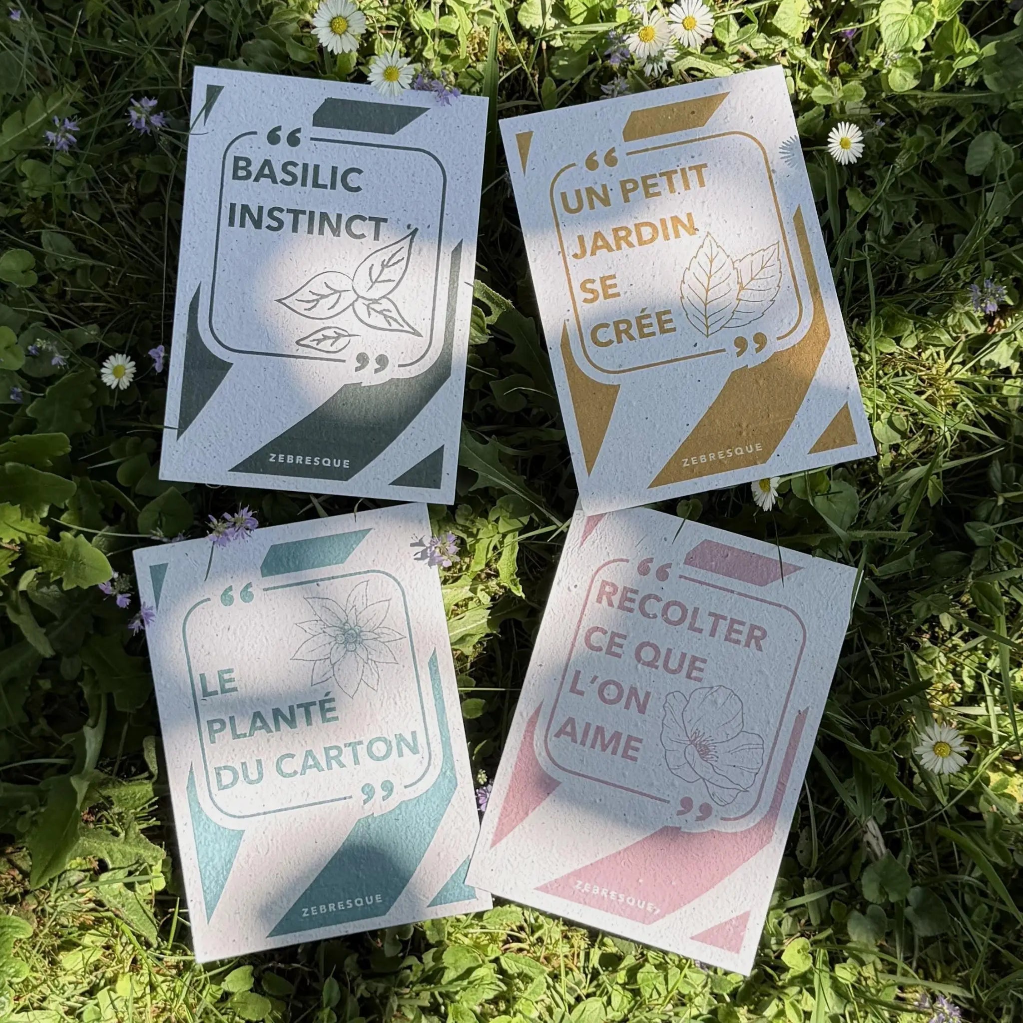 Ensemble de cartes à planter ZEBRESQUE en papier recyclé avec graines de fleurs sauvages et basilic, disposées dans l’herbe au soleil dans une ambiance naturelle, poétique et écologique.