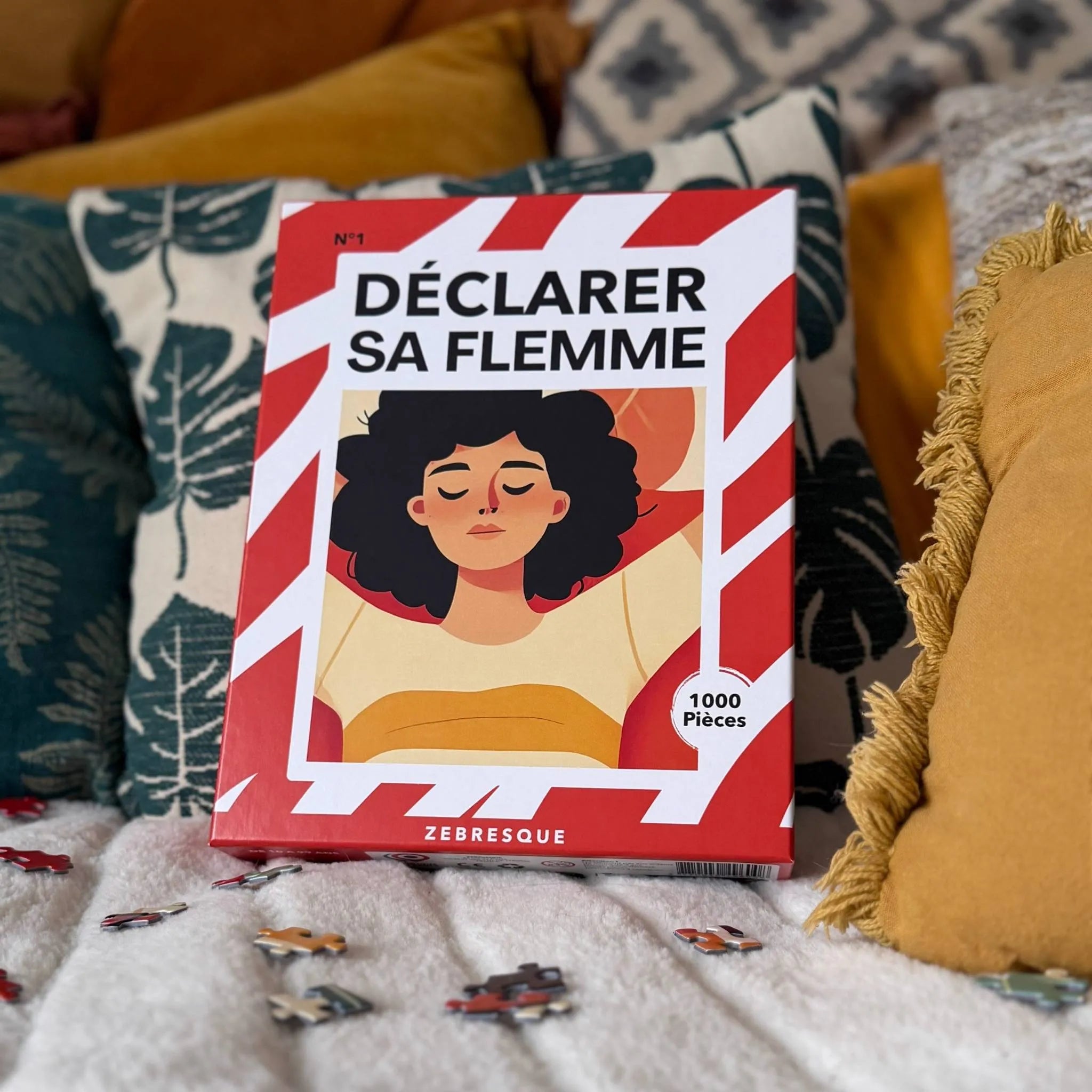 Déclarer sa flemme - PUZZLE 1000 pièces